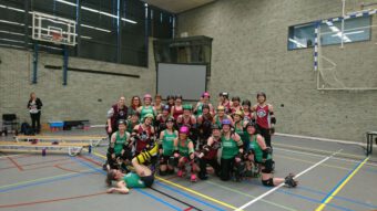 Afbeelding voor Kill the Bees!
